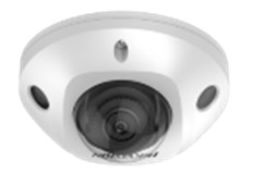 DS-2CD2543G2-IWS